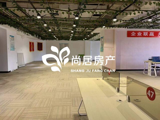 新華一(yī)号8